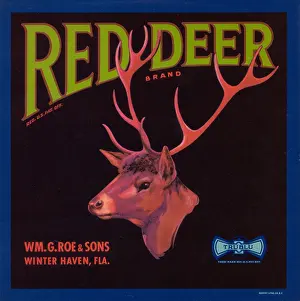 Florida Prints: Red Deer Brand
