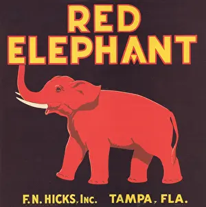 Florida Prints: Red Elephant