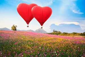 Beautiful Collection: Red heart air balloon over on Beautiful Cosmos Flower in park