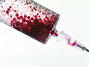 Red liquid inside syringe