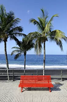 Palm Collection: Red park bench on the beach promenade of Puerto Naos, La Palma, Canary Islands, Canary Islands