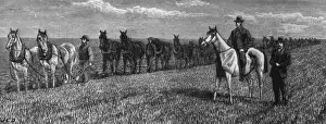 Red River Ploughs