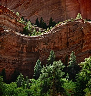 Summit Collection: Red Rock outcrop along Taylor Creek Kolob Canyons