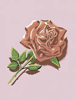Garden Variety Prints: Red Rose