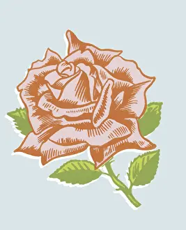 Garden Variety Prints: Red Rose