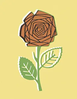 Red Rose