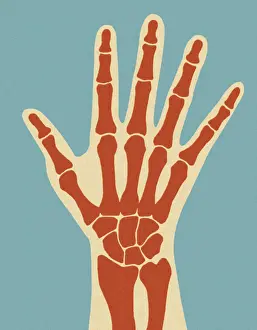 Illustrat Prints: Red X-Ray of Bones in Hand