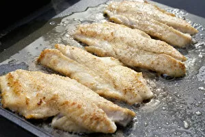 Redfish fillets being fried