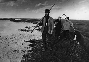 Reed Cutters
