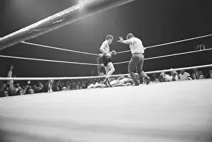 Inglewood Prints: Referee Signaling Ruben Olivares Ko Victory