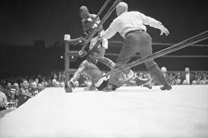 Referee Standing over Boxer on Ropes
