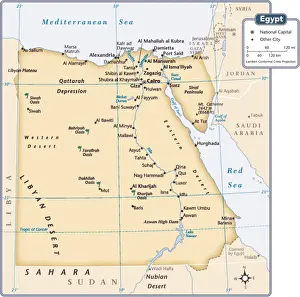 Reference Maps, 102890807