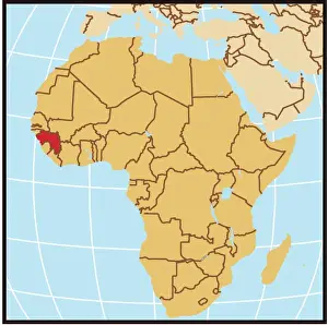 Reference Maps, 106484729