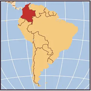 Reference Maps, 106484765