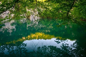 Images Dated 11th May 2015: Reflected Nature at Plitvice Lakes National Park