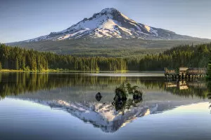 Images Dated 31st July 2011: Reflection of Mount Hood on Trillium Lake