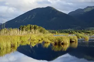 Idyll Prints: Reflections in a bog, glacial Stammbecken Moor in the alpine uplands