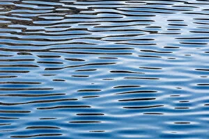 Picture Detail Collection: Reflections on a calm sea surface, Faroe Islands, Denmark