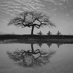 Reflections of farmers go to work near a lonely trees in early morning
