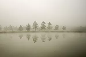 Images Dated 21st May 2015: Reflections in the fog