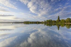 Reflections on the shore of Lake Constance near Reichenau Island, Baden-Wuerttemberg, Germany, Europe
