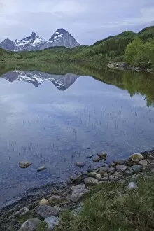 Surface Gallery: Reflections on the water surface of a lake, Norway, Scandinavia, Europe