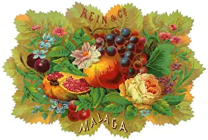 Malaga Prints: Rein & Co