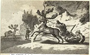 Reindeer Pulling Sled