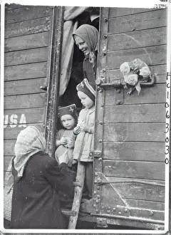 Budapest Prints: Relatives of Hungarian Countryside