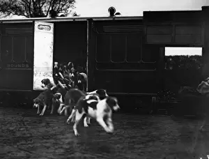 Release Of The Hounds