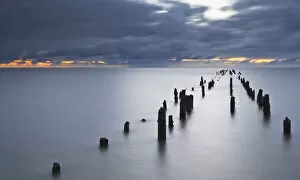 Remains of a groyne, North Sea, Wremen, Lower Saxony, Germany, Europe