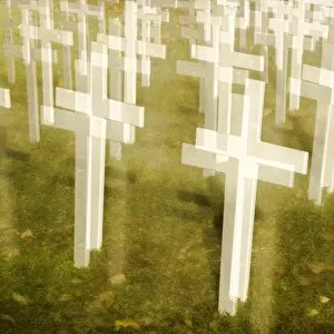 Images Dated 7th November 2014: Remembrance Day - Crosses Blurred