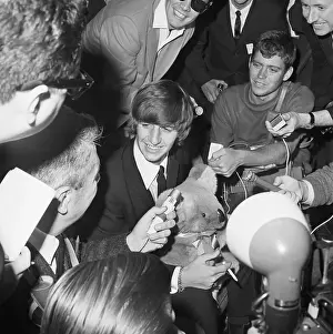 Teddy Bear Prints: Reporters Crowd Beatles Drummer Ringo Starr