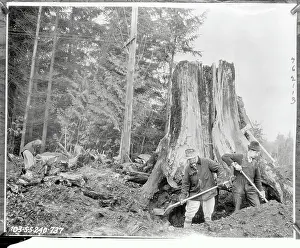 Seattle Prints: Reservoir Workers