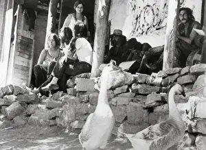 Residents and Geese Outside Hippie Commune