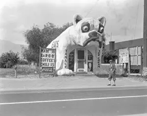 Diner Prints: Restaurant Shaped Like Bulldog