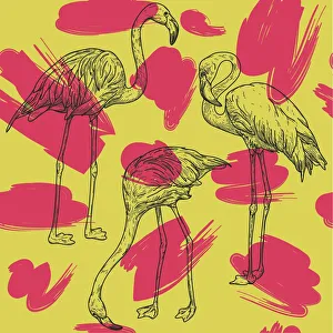 Images Dated 25th August 2019: Retro Flamingo Pattern