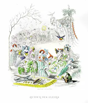 Grandville Prints: Return of the flowers - Hand colored plate from 'Les Fleurs Animees by J