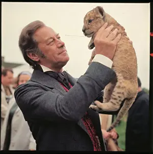 Rex Harrison Holding Small Tiger in the Air
