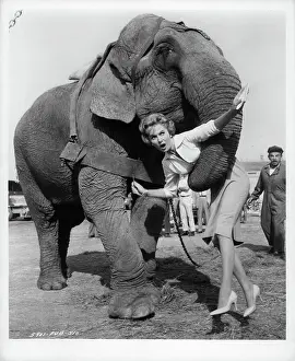 Rhonda Fleming In The Big Circus