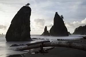 Images Dated 24th September 2013: Rialto Beach in Olympic National Park, La Push, Washington, United States