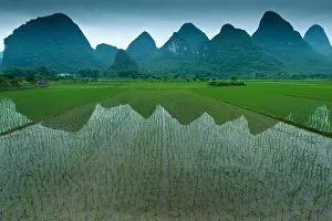 Images Dated 2nd June 2012: Rice field in Yangshuo