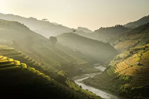 Images Dated 25th September 2014: Rice fields on terraced of Mu Cang Chai