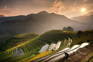 Images Dated 25th September 2014: Rice fields on terraced of Mu Cang Chai