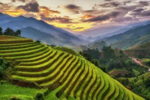 Activity Prints: Rice fields terraced of Mu Cang Chai, YenBai, Vietnam