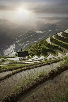 Rice paddy hills in remote landscape