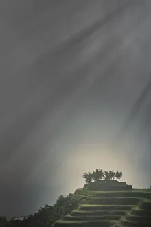 Underneath Gallery: Rice paddy hills under sunbeams
