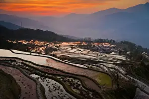 Rice Terrace Prints: Rice terrace