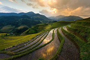 Images Dated 27th September 2014: Rice terrace of Mu Cang Chai