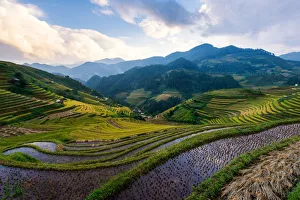 Images Dated 27th September 2014: Rice terrace of Mu Cang Chai